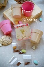 Μπομπονιερα βαπτισης νεραιδα