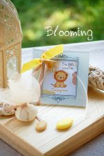 Μπομπονιερα βαπτισης σουβερ λιονταρακι